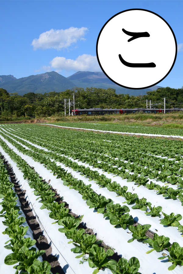 写真の説明