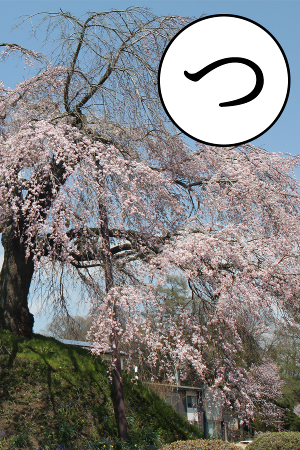 写真の説明