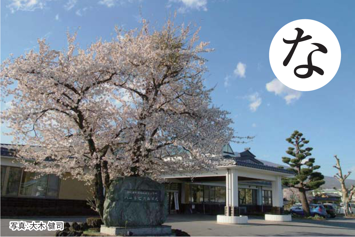写真：ハートピアの春を飾る桜