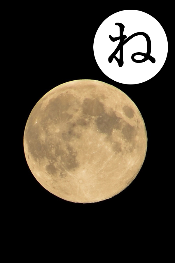 写真の説明
